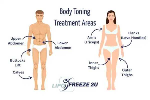 Graphic showing where you can have Body toning Treatment Lowestoft on your body